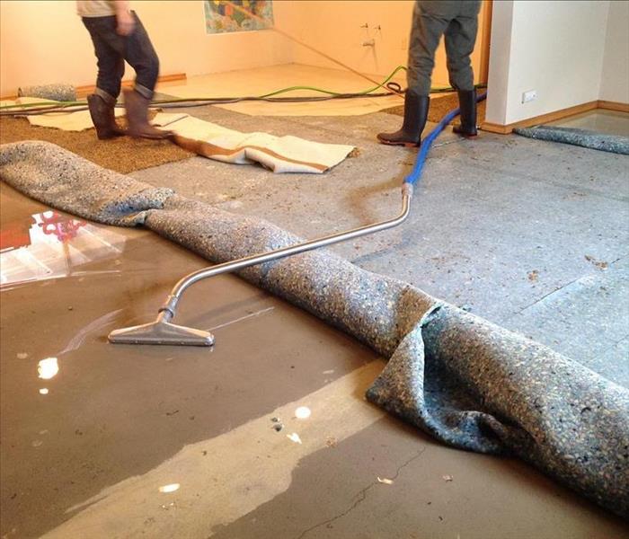 Wet carpet, extracting water with vacuum